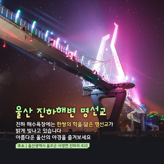 더위를 잊게 하는 시원한 밤바다 명소