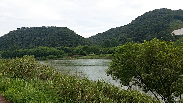 오랜 노력과 기다림 끝에 국가정원으로 지정된 울산의 태화강
