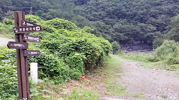 울산의 또 다른 보물, 천전리 각석으로 향하는 길