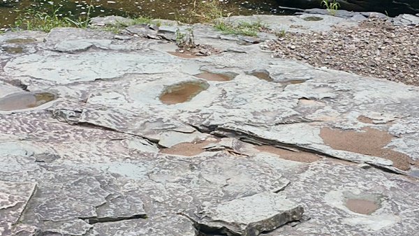 천전리 각석의 주변에서 볼 수 있는 백악기의 공룡 발자국