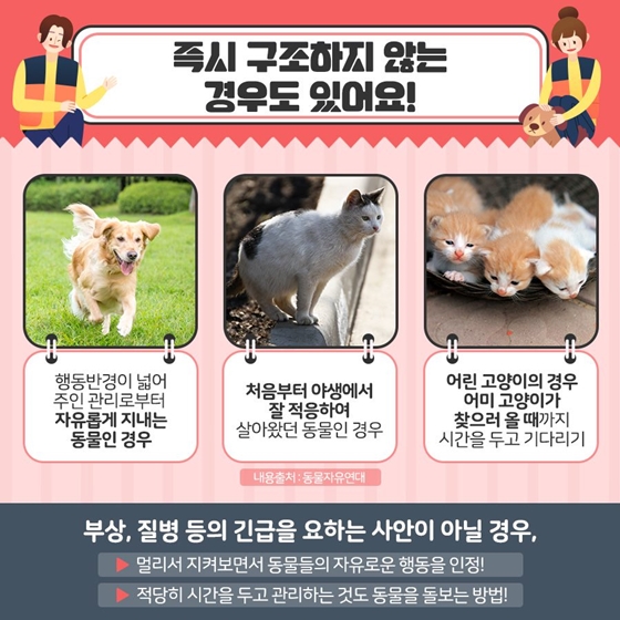 유기동물 발견 시 이렇게 신고해주세요