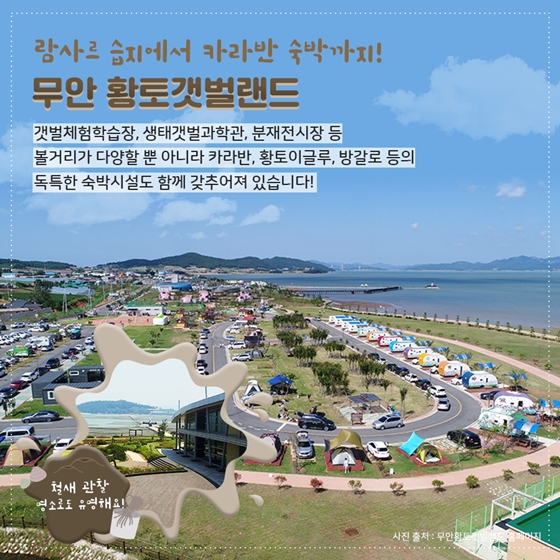 갯벌의 매력에 퐁당 빠져볼까요?