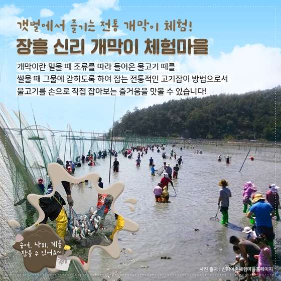 갯벌의 매력에 퐁당 빠져볼까요?