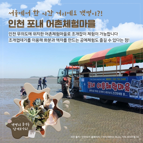 갯벌의 매력에 퐁당 빠져볼까요?