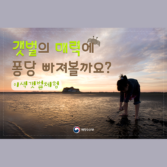 갯벌의 매력에 퐁당 빠져볼까요?