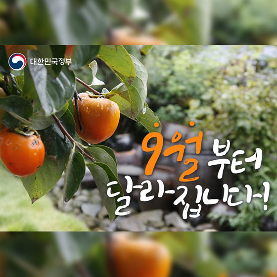 [정책달력] 9월부터 달라지는 정책