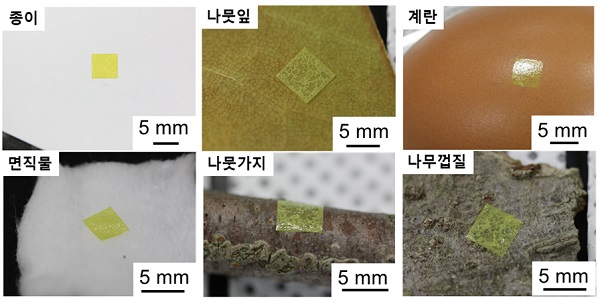 튜브형 나노 섬모가 있는 폴리이미드 필름을 종이, 나뭇잎, 계란, 면직물, 나뭇가지, 나무껍질 등 다양한 울퉁불퉁한 표면에 접착한 이미지.