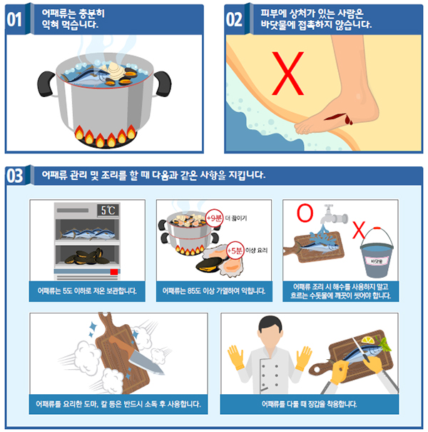 비브리오패혈증 예방수칙.