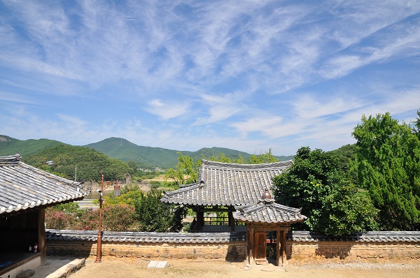 대구 도동서원 앞 하늘의 권운. 대구광역시 달성군 구지면 소재. 권운은 새털구름, 털구름이라고도 한다.(사진=저작권자(c) 연합뉴스, 무단 전재-재배포 금지)