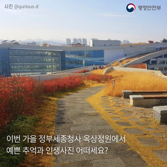 세계 최대 옥상정원에서 느끼는 가을