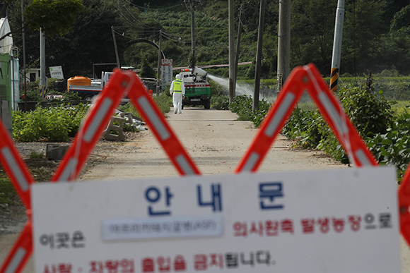  17일 경기도 파주시의 한 양돈농장에서 아프리카돼지열병(ASF)이 발생해 방역당국이 출입을 통제하고 소독작업을 하고 있다. (사진=저작권자(c) 연합뉴스, 무단 전재-재배포 금지)