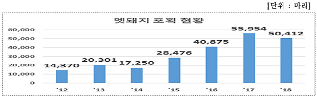 멧돼지 포획 현황