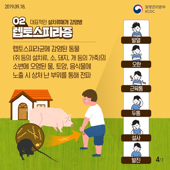 가을철 야외활동 주의보! 설치류매개 감염병