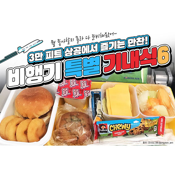 3만 피트 상공에서 즐기는 만찬…특별 기내식 6