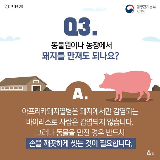 아프리카돼지열병은 사람에게 감염되지 않습니다