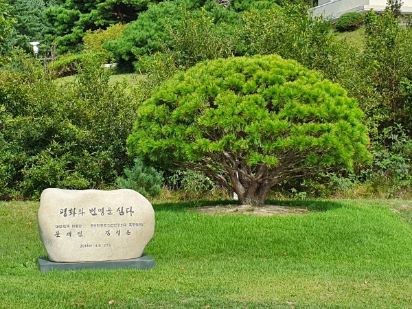 평화와 번영을 기원하며 2018년 4월 27일에 심은 기념 식수
