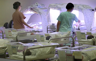 정책 안내 이미지