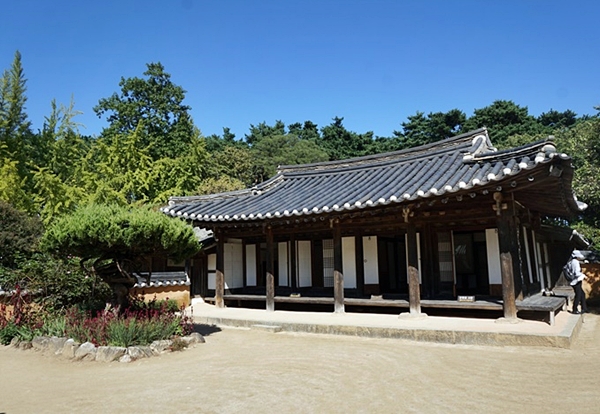 마당에 빗질을 한 모양이 그대로 나타난다.