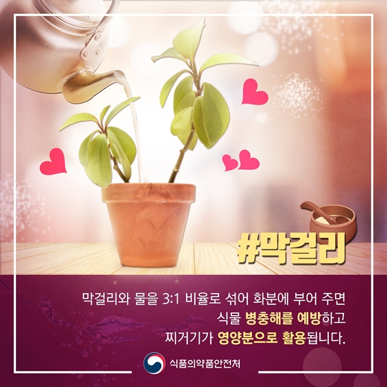 먹다 남은 술 아까워하지 말아요! 술 200% 활용법