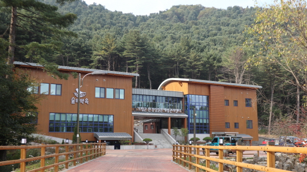 전국 최대의 잣나무 숲에 문을 연 가평군 환경설질환예방관리 센터