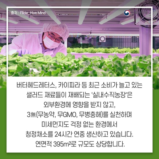 지하철역에서 만나는 농업 ‘메트로팜’
