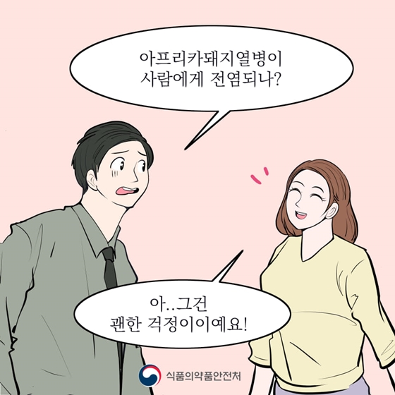 아프리카돼지열병은 사람에게 감염되지 않아요!