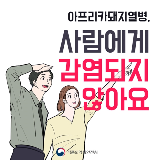 아프리카돼지열병은 사람에게 감염되지 않아요!