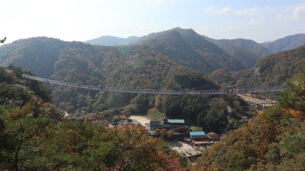 강원도 원주 소금산 출렁다리에도 평일 임에도 불구하고 많은 인파가 몰려 강원도 경제가 활력을 찾았음을 알리고 있다.