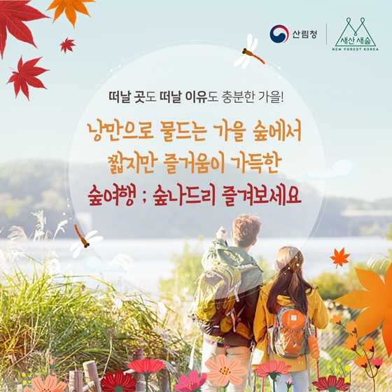 1박 2일로 떠나는 가을 맛집 숲여행 코스