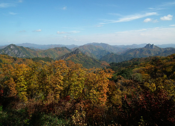 청옥산 정상에서 맞이한 가을.