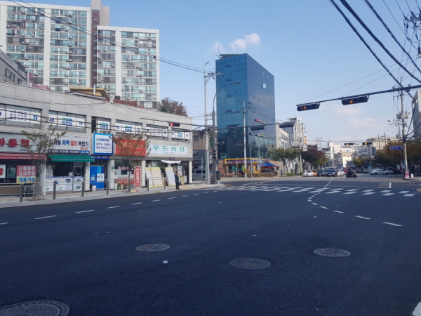 신호등과 횡단보도가 생겼습니다.