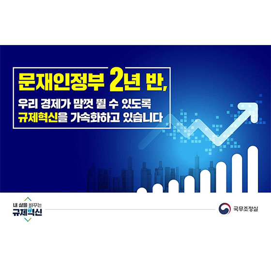 [문재인정부 2년 반] 우리 경제가 맘껏 뛸 수 있도록 ‘규제혁신’을 가속화하고 있습니다