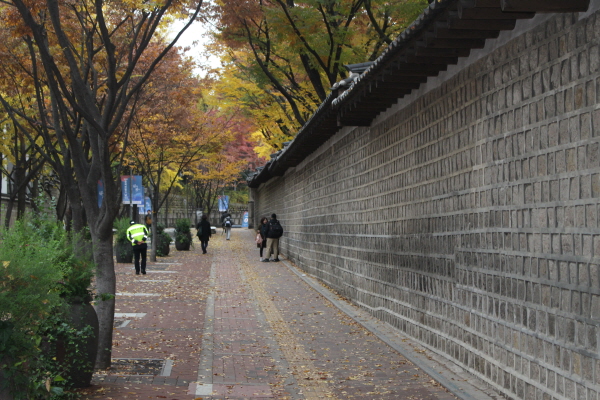 덕수궁 돌담길.