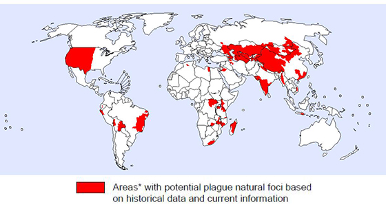 전 세계 페스트 발생위험지역 분포(2016년 3월 기준, WHO, 사진=질병관리본부)