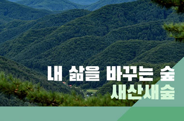 [문재인정부 2년 반] 내 삶을 바꾸는 숲, 새산새숲