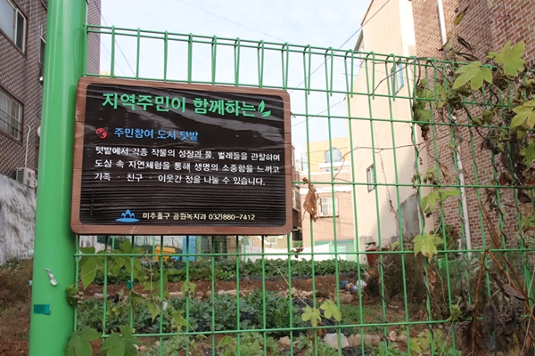 미추홀구의 폐가를 허물고 조성한 도시 텃밭. 