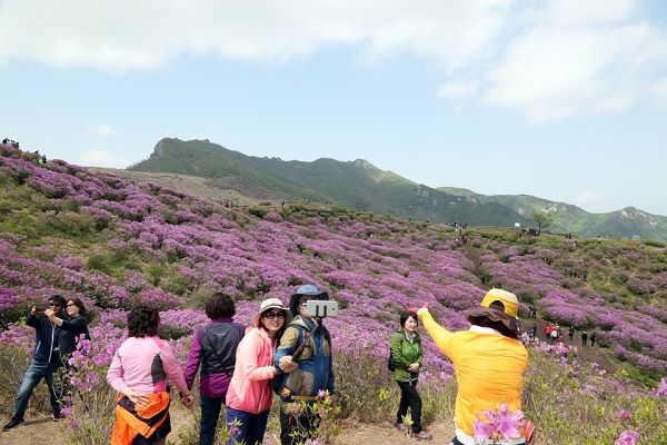 봄 여행주간(4.28~5.13)에 찾아간 황매산 철쭉.(사진=문화체육관광부 국민소통실)