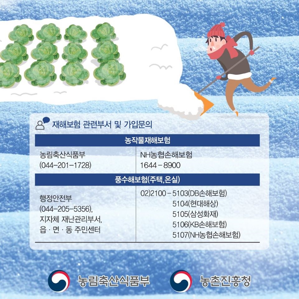 겨울철 자연재해 대비 농작물 및 시설물 관리요령