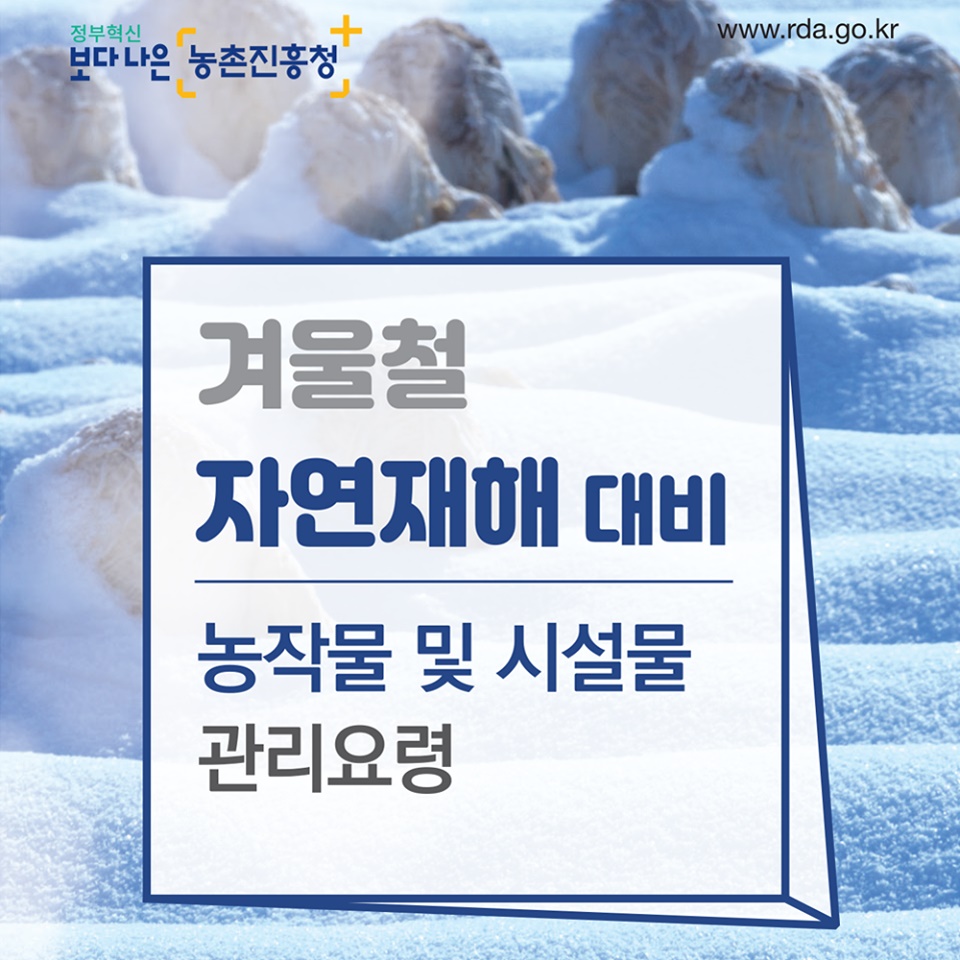 겨울철 자연재해 대비 농작물 및 시설물 관리요령