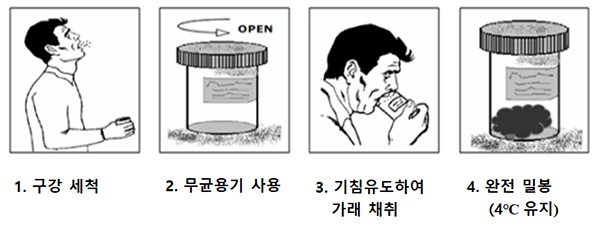 가래 채취 방법.