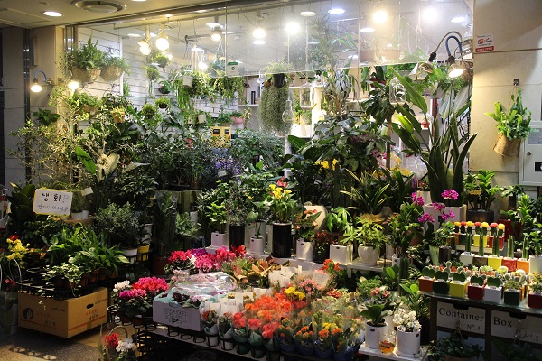 소규모 꽃집에서는 얼어붙은 꽃 소비가 더욱 극명하게 보였다.