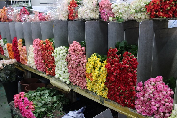 지금도 수도권 편의점에서는 장미꽃 2만 송이를 판매 중이다.