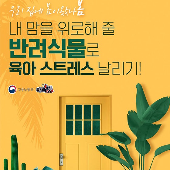 내 맘을 위로해 줄 반려식물로 육아 스트레스 날리기!