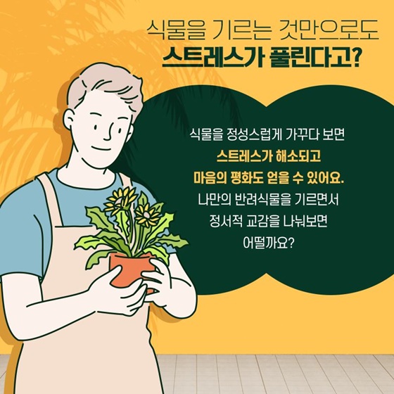 내 맘을 위로해 줄 반려식물로 육아 스트레스 날리기!