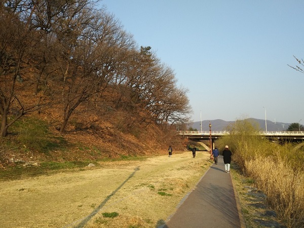 마음과 몸의 균형을 위한 집 근처 가벼운 산책. 마스크 착용은 필수.