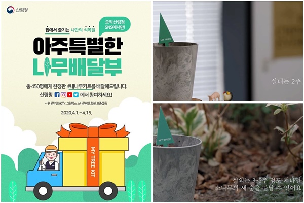 아주 특별히 랜선을 타고 전해지는 식목일의 온기를 느껴보렴. <출처=산림청>