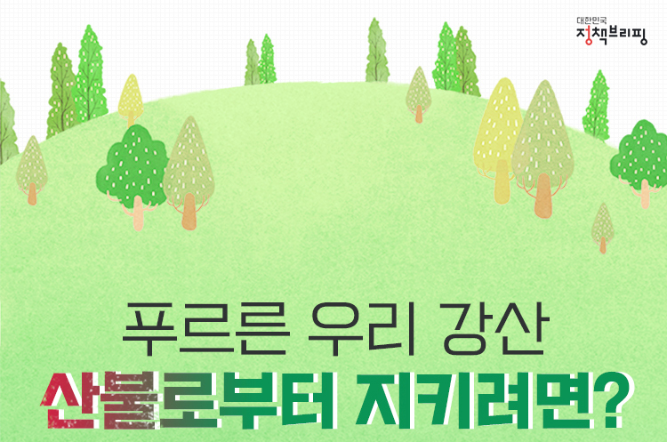 푸르른 우리 강산, 산불로부터 지키려면? - 정책뉴스 | 뉴스 | 대한민국 정책브리핑 푸르른 우리 강산, 산불로부터 지키려면?