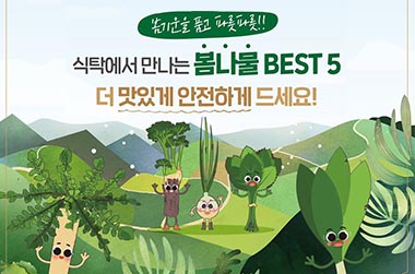 식탁에서 만나는 봄나물 BEST 5 - 전체 | 카드/한컷 | 뉴스 | 대한민국 정책브리핑
