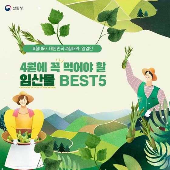 4월에 꼭 먹어야 할 임산물 BEST 5