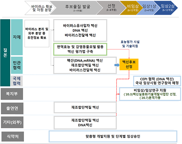 국내 코로나19 백신 개발 현황.